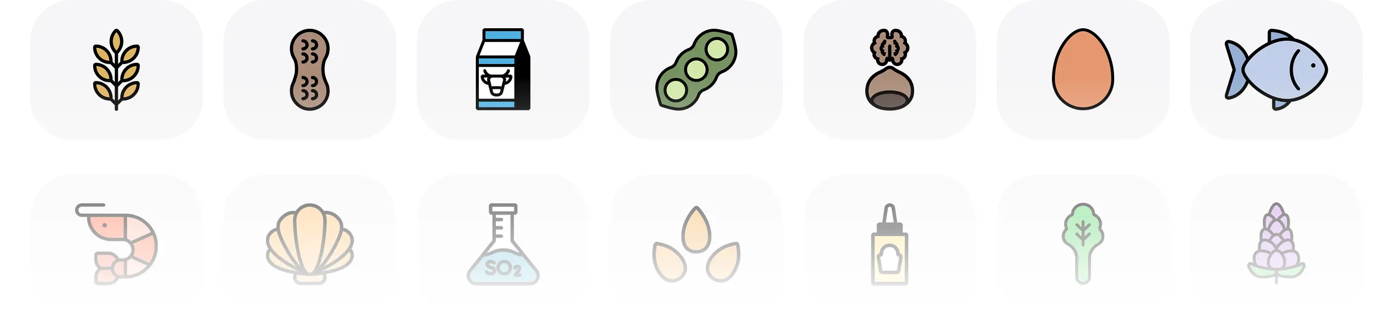 Showcase of icon categories and muted variants